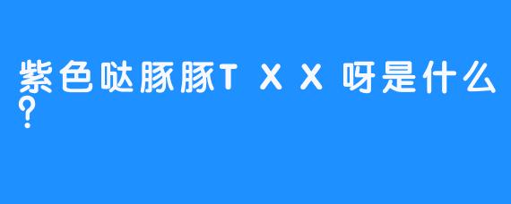 紫色哒豚豚TXX呀是什么？