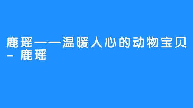 鹿瑶——温暖人心的动物宝贝-鹿瑶