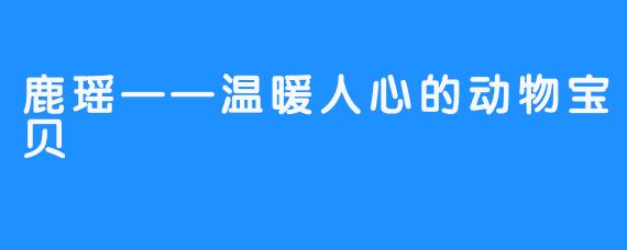 鹿瑶——温暖人心的动物宝贝