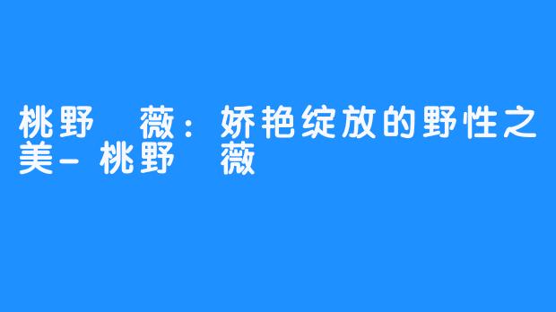 桃野薔薇：娇艳绽放的野性之美-桃野薔薇