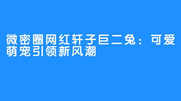 微密圈网红轩子巨二兔：可爱萌宠引领新风潮