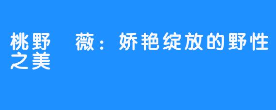 桃野薔薇:娇艳绽放的野性之美