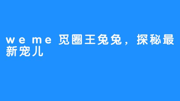 weme觅圈王兔兔,探秘最新宠儿