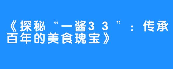 《探秘“一酱33”:传承百年的美食瑰宝》