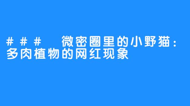 ### 微密圈里的小野猫:多肉植物的网红现象