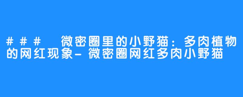 ### 微密圈里的小野猫:多肉植物的网红现象-微密圈网红多肉小野猫