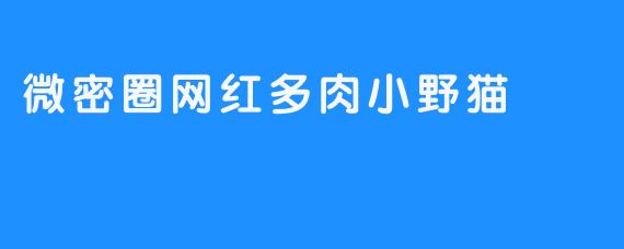 微密圈网红多肉小野猫
