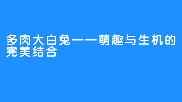 多肉大白兔——萌趣与生机的完美结合
