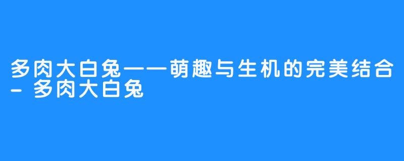 多肉大白兔——萌趣与生机的完美结合-多肉大白兔