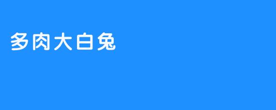 多肉大白兔