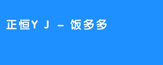 正恒YJ-饭多多