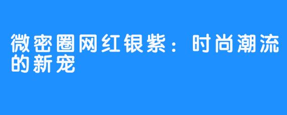 微密圈网红银紫:时尚潮流的新宠