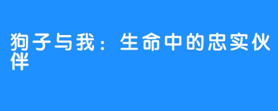 狗子与我:生命中的忠实伙伴