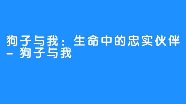狗子与我:生命中的忠实伙伴-狗子与我