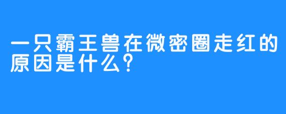 一只霸王兽在微密圈走红的原因是什么？