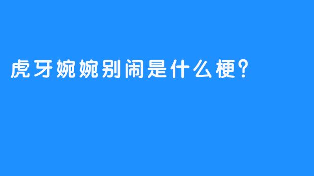 虎牙婉婉别闹是什么梗？