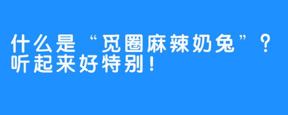 什么是“觅圈麻辣奶兔”？听起来好特别！