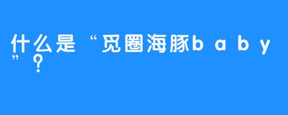什么是“觅圈海豚baby”？