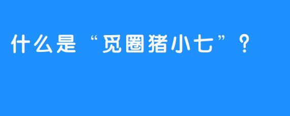 什么是“觅圈猪小七”？