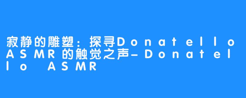 寂静的雕塑：探寻DonatelloASMR的触觉之声-Donatello ASMR