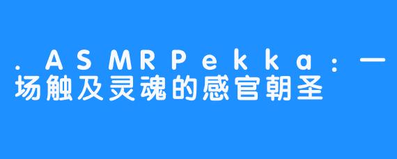 .ASMRPekka:一场触及灵魂的感官朝圣